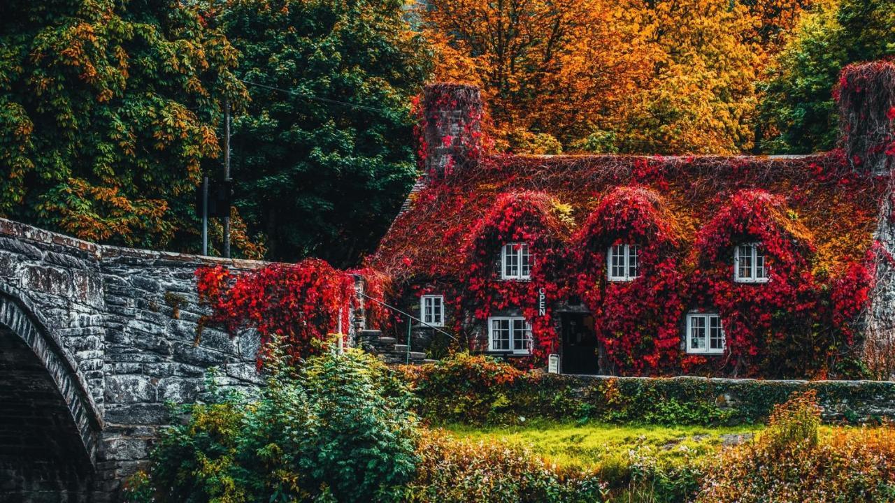 Sterling Bed & Breakfast Λαντούντνο Δωμάτιο φωτογραφία